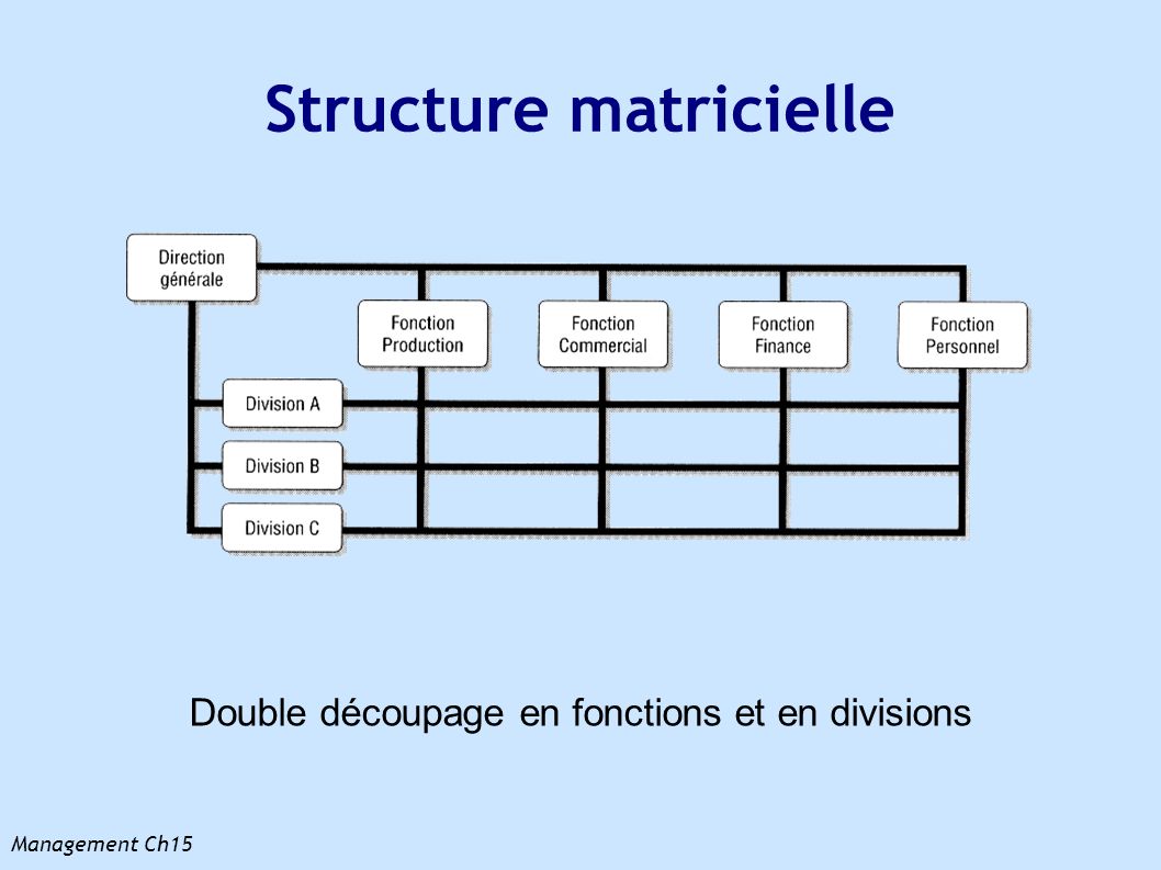 Structure matricielle