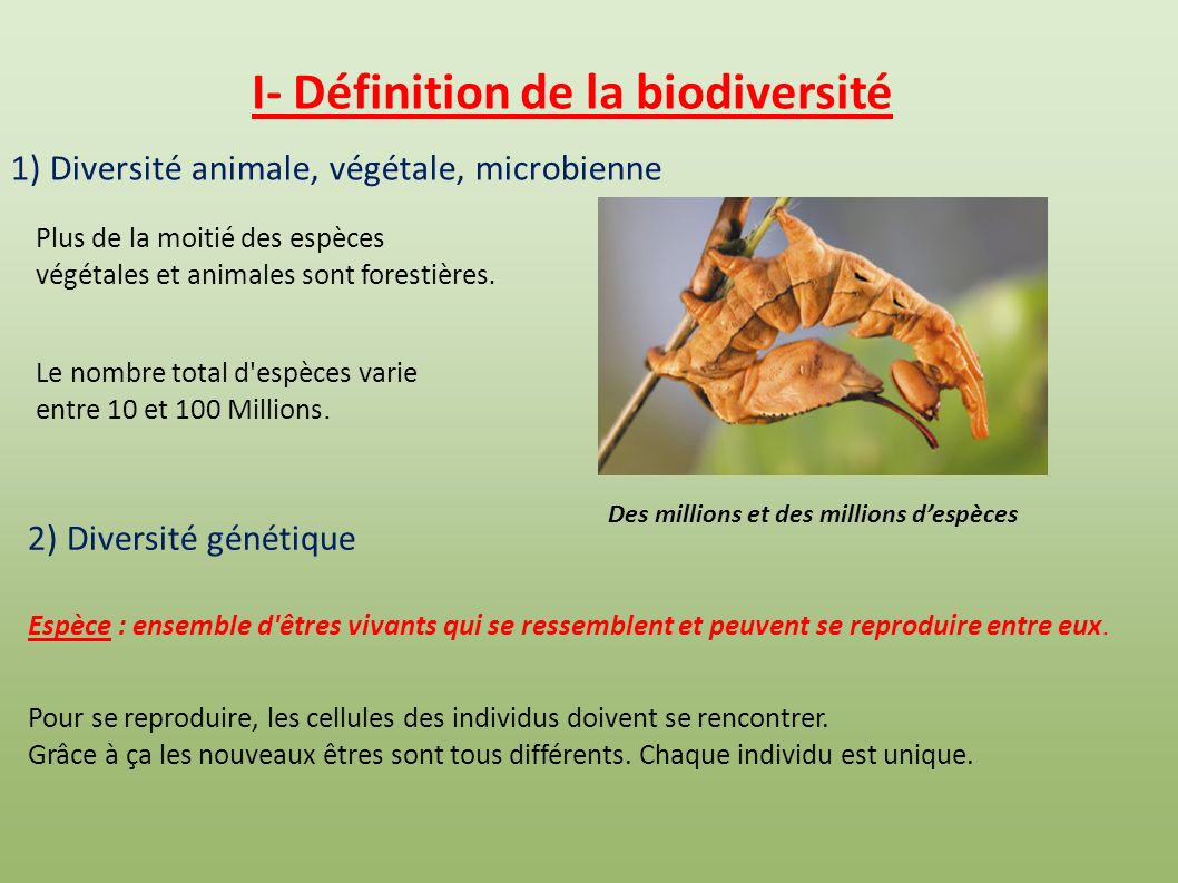 I- Définition de la biodiversité