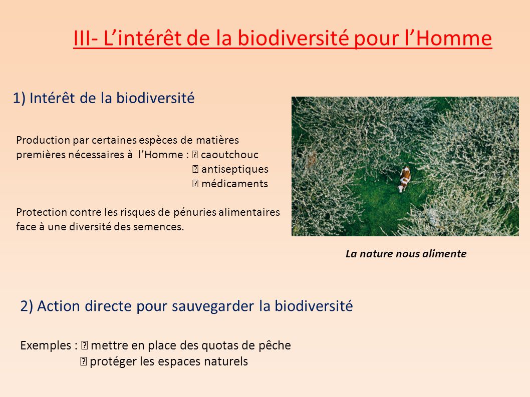 III- L’intérêt de la biodiversité pour l’Homme