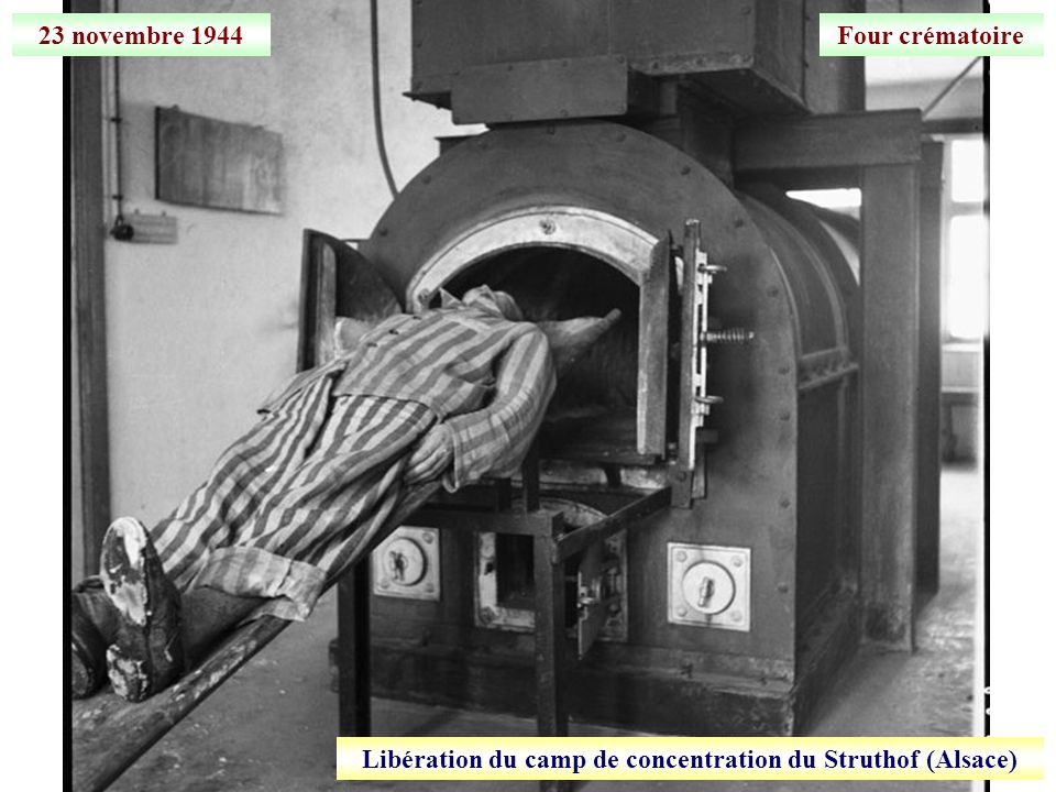 Libération du camp de concentration du Struthof (Alsace)