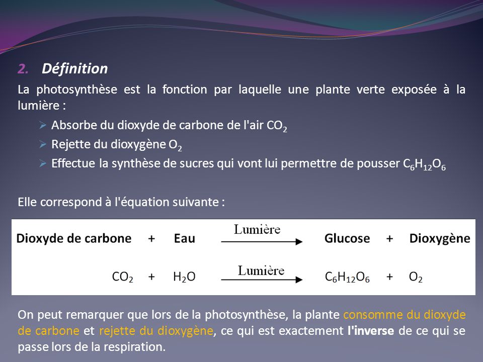 Définition La photosynthèse est la fonction par laquelle une plante verte exposée à la lumière : Absorbe du dioxyde de carbone de l air CO2.
