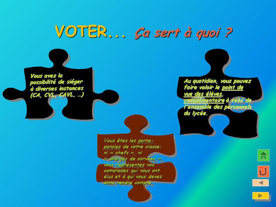 VOTER... Ça sert à quoi Vous avez la possibilité de siéger à diverses instances (CA, CVL, CAVL, …)