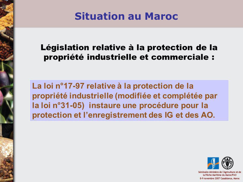 Situation au Maroc Législation relative à la protection de la propriété industrielle et commerciale :