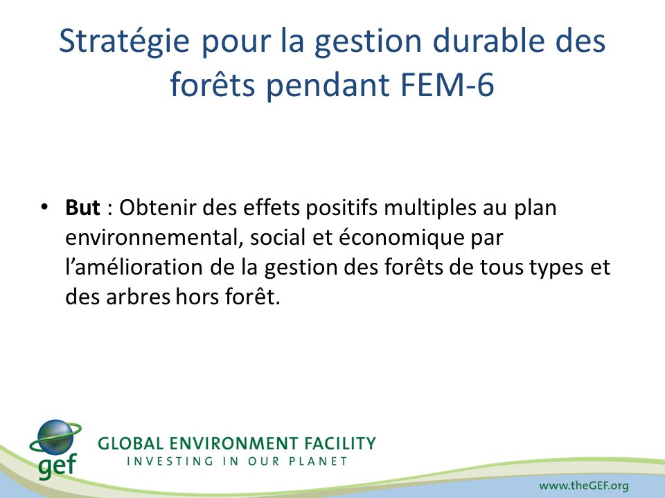 Stratégie pour la gestion durable des forêts pendant FEM-6