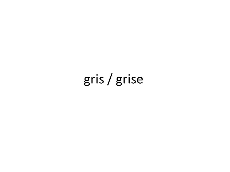 gris / grise