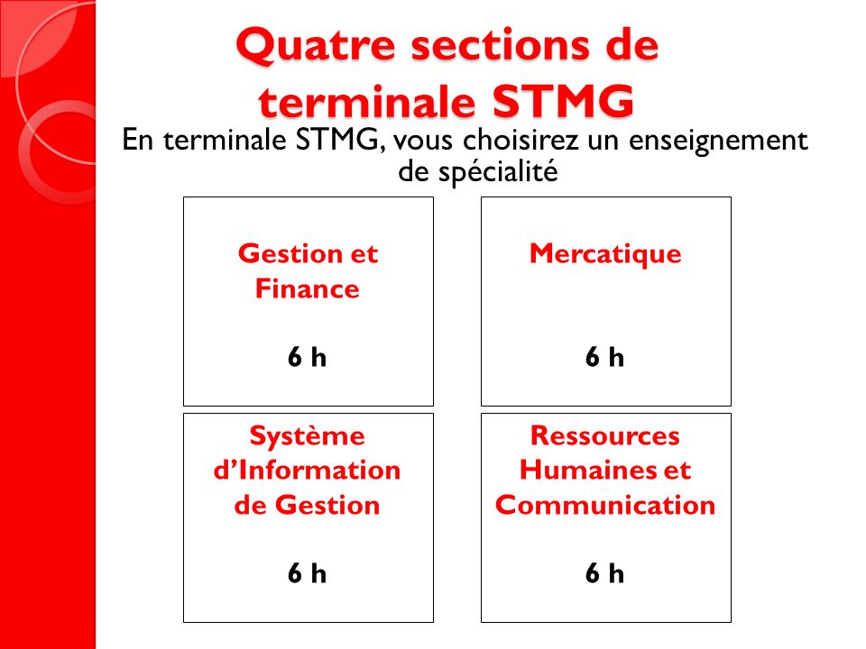 Quatre sections de terminale STMG
