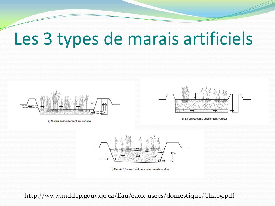 Les 3 types de marais artificiels