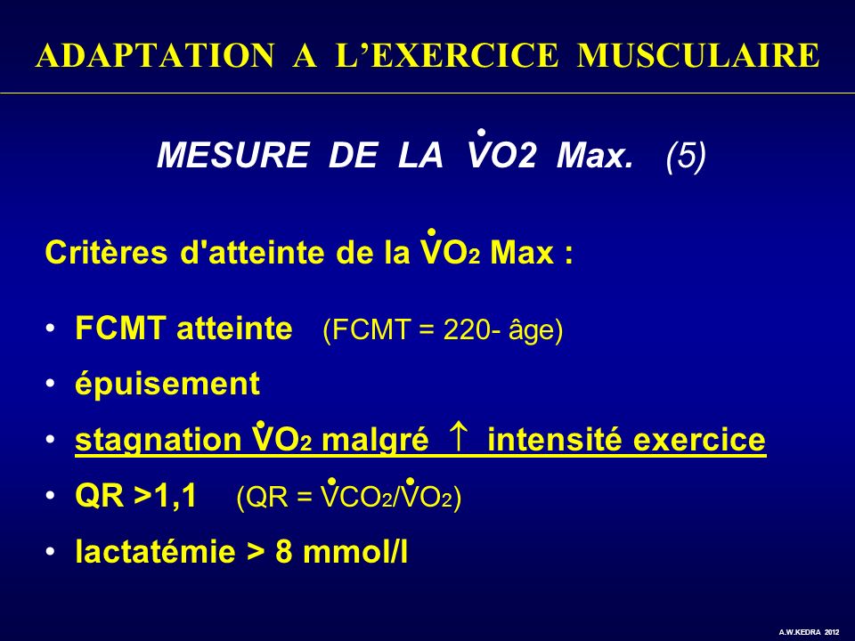 ADAPTATION A L’EXERCICE MUSCULAIRE