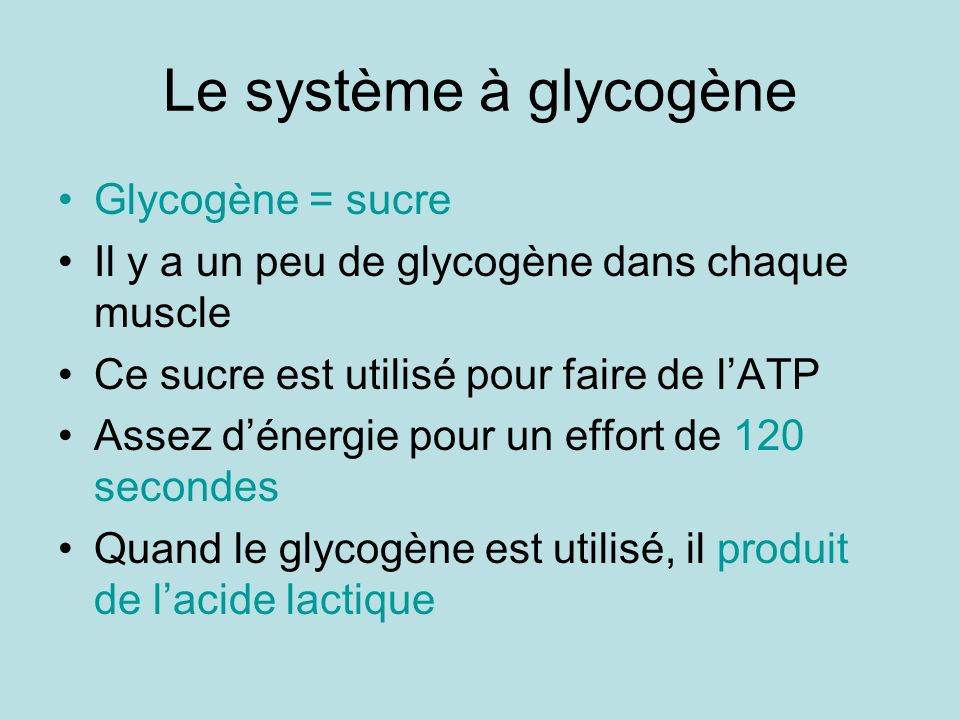 Le système à glycogène Glycogène = sucre