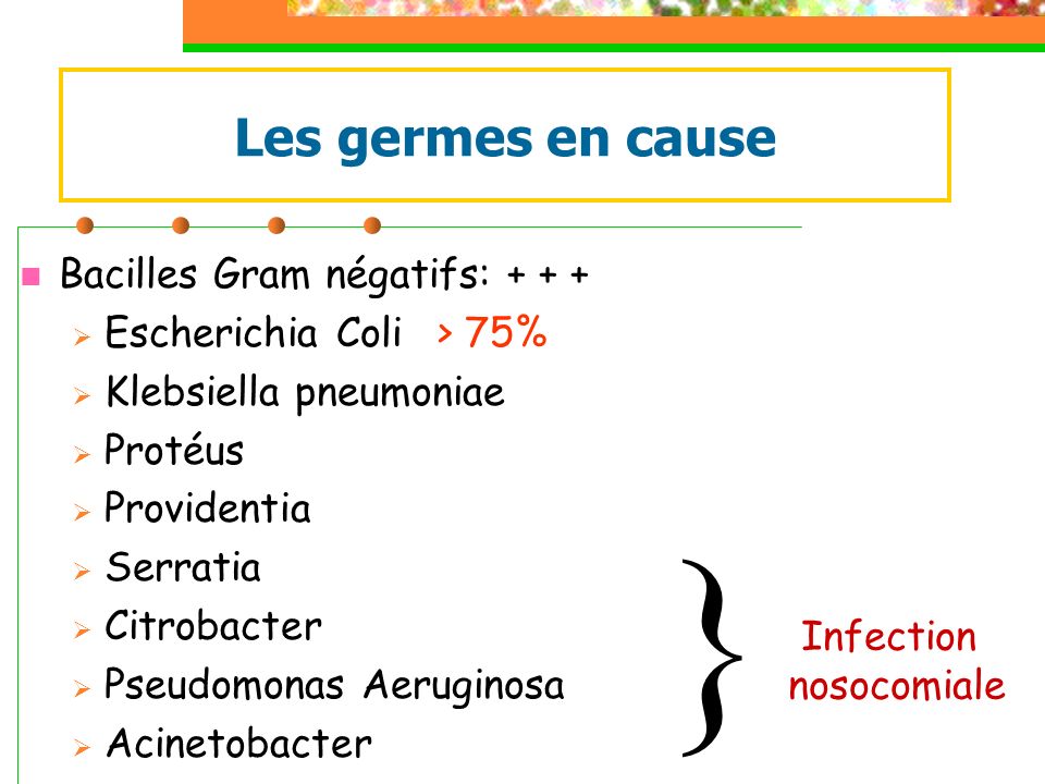} Les germes en cause Bacilles Gram négatifs: + + +