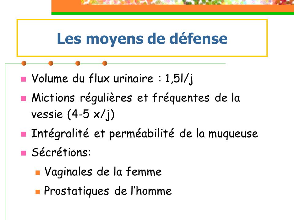 Les moyens de défense Volume du flux urinaire : 1,5l/j
