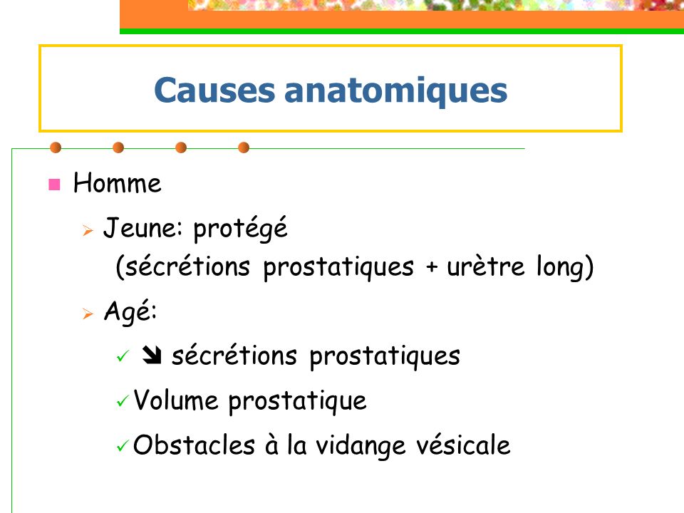 Causes anatomiques Homme