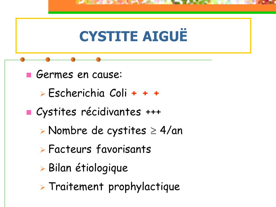 CYSTITE AIGUË Germes en cause: Escherichia Coli + + +