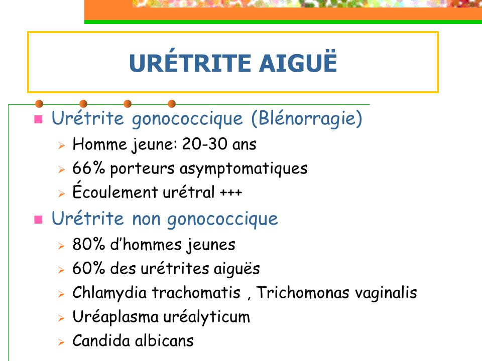 URÉTRITE AIGUË Urétrite gonococcique (Blénorragie)