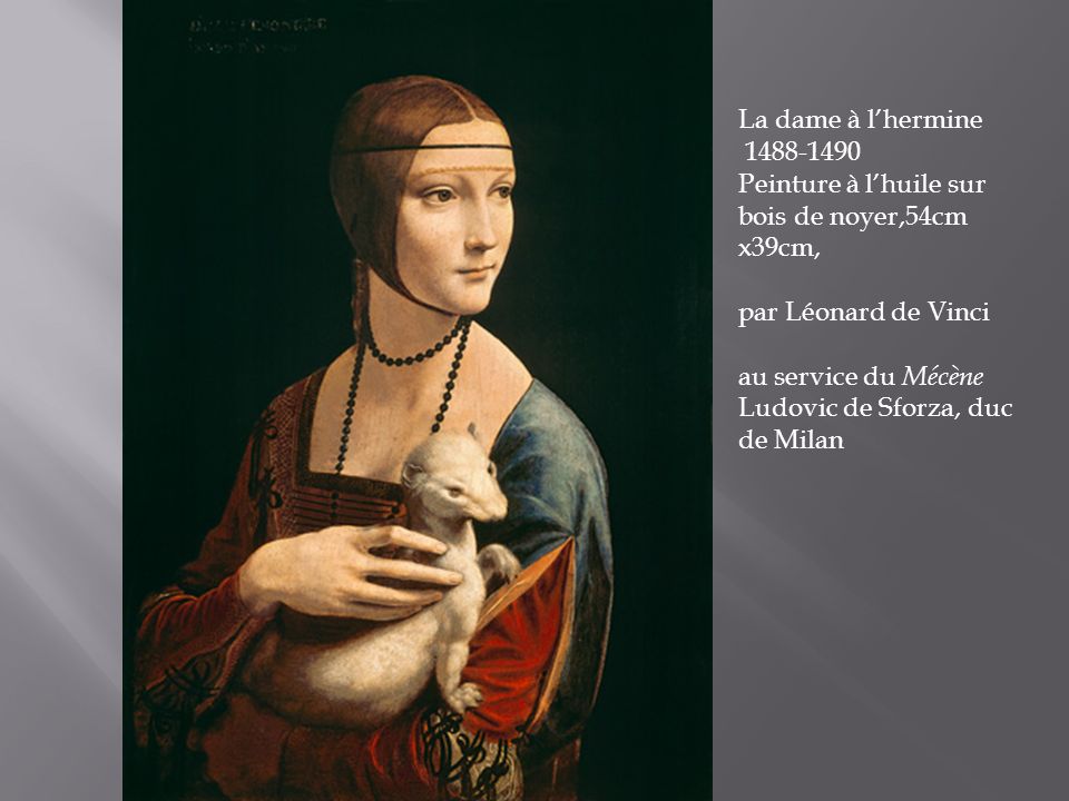 La dame à l’hermine Peinture à l’huile sur bois de noyer,54cm x39cm, par Léonard de Vinci.