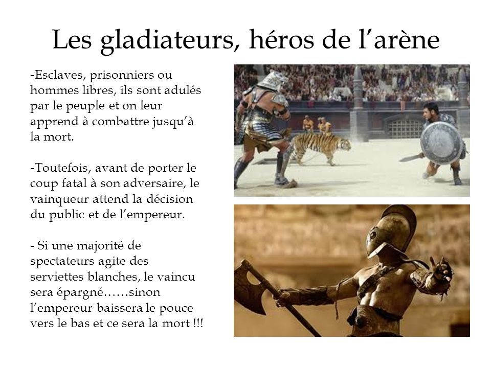 Les gladiateurs, héros de l’arène