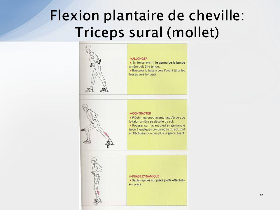 Flexion plantaire de cheville: Triceps sural (mollet)