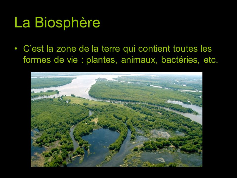 La Biosphère C’est la zone de la terre qui contient toutes les formes de vie : plantes, animaux, bactéries, etc.