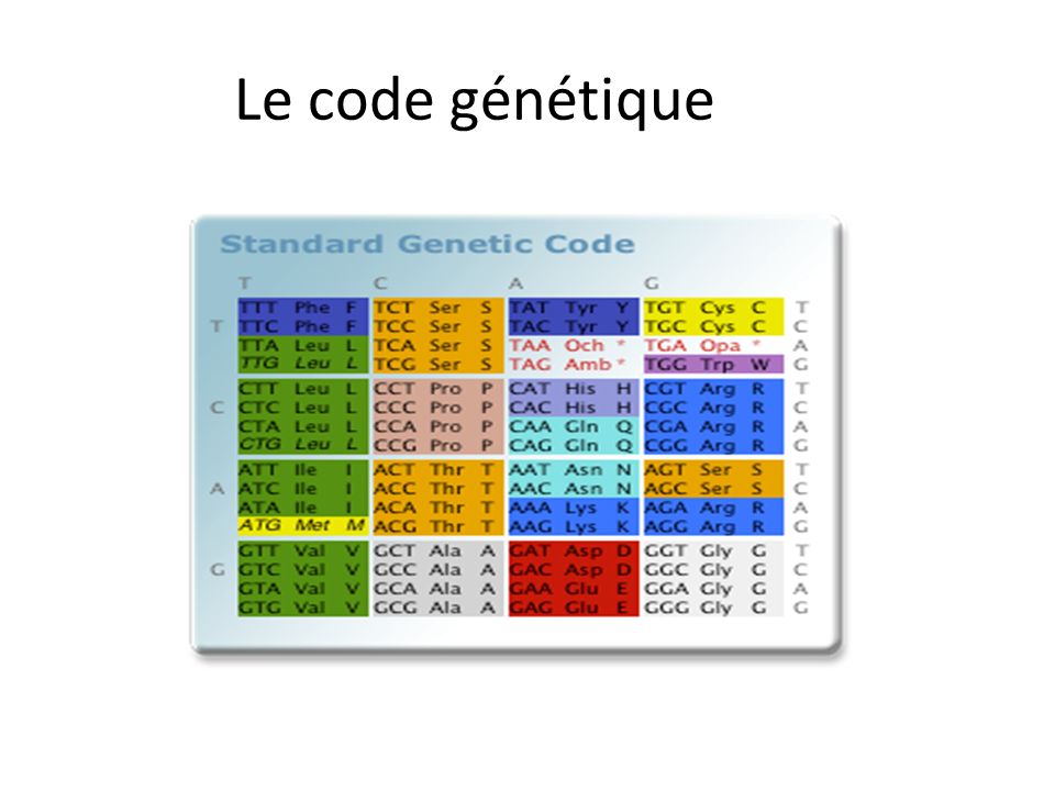 Le code génétique