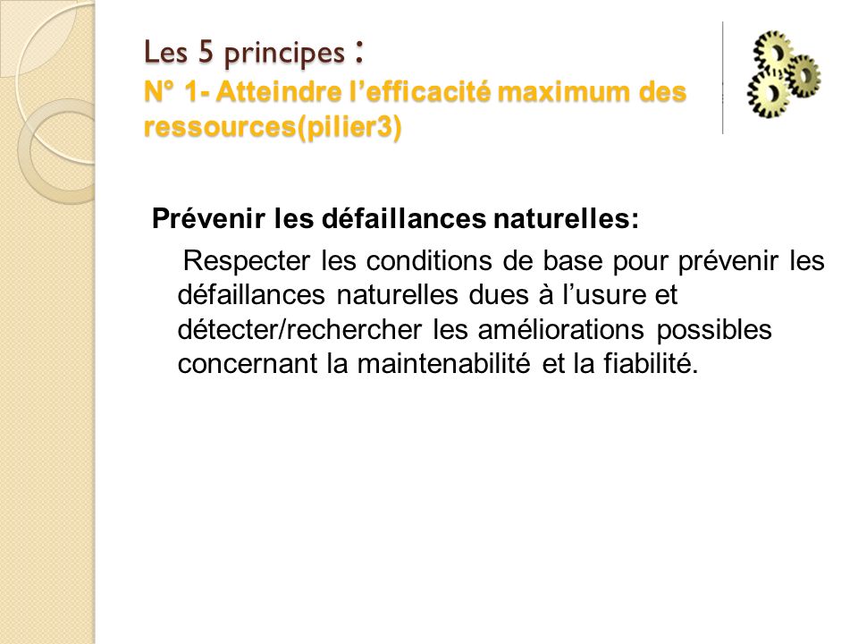 Les 5 principes : N° 1- Atteindre l’efficacité maximum des ressources(pilier3)