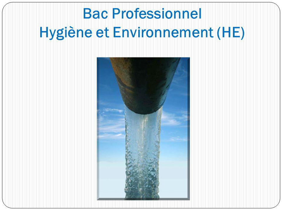 Bac Professionnel Hygiène et Environnement (HE)