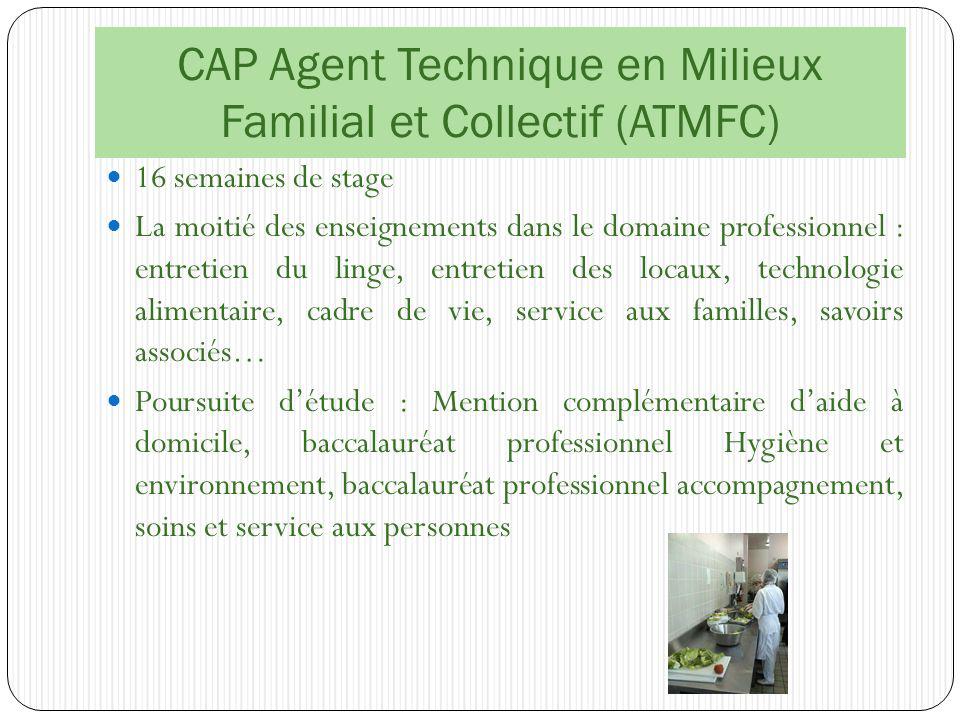 CAP Agent Technique en Milieux Familial et Collectif (ATMFC)