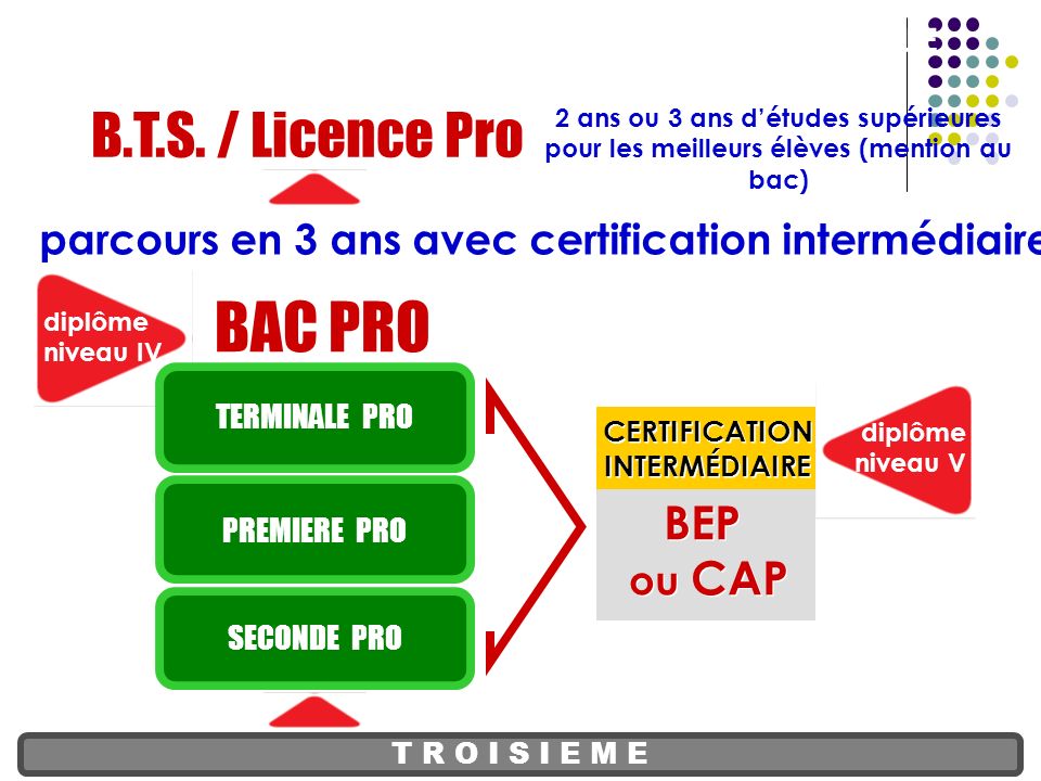 BAC PRO B.T.S. / Licence Pro PARCOURS DE LA VOIE PROFESSIONNELLE BEP