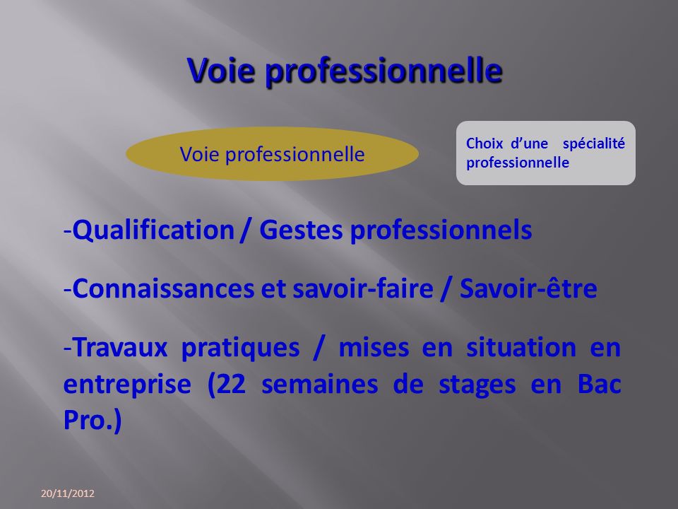 Voie professionnelle Qualification / Gestes professionnels