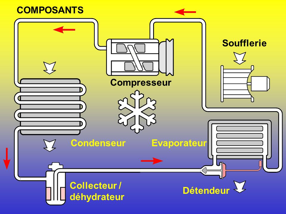 COMPOSANTS Soufflerie Compresseur Condenseur Evaporateur Collecteur / déhydrateur Détendeur