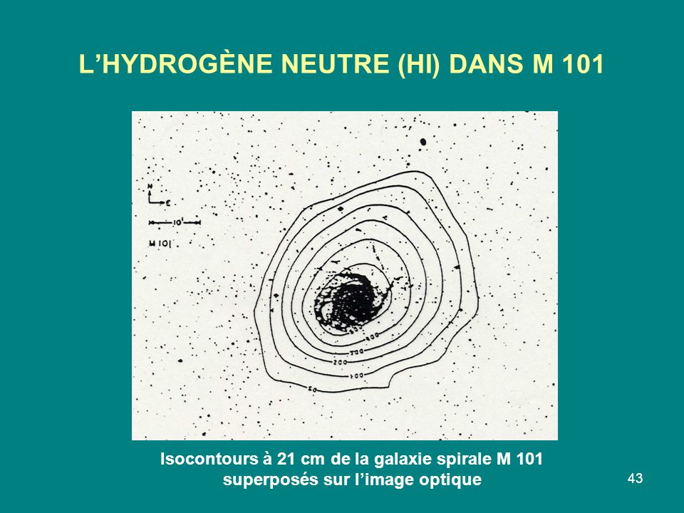 L’HYDROGÈNE NEUTRE (HI) DANS M 101