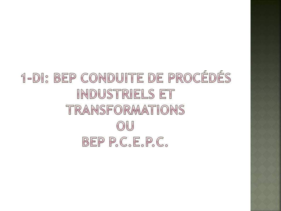 1-DI: BEP conduite de procédés industriels et transformations ou BEP P