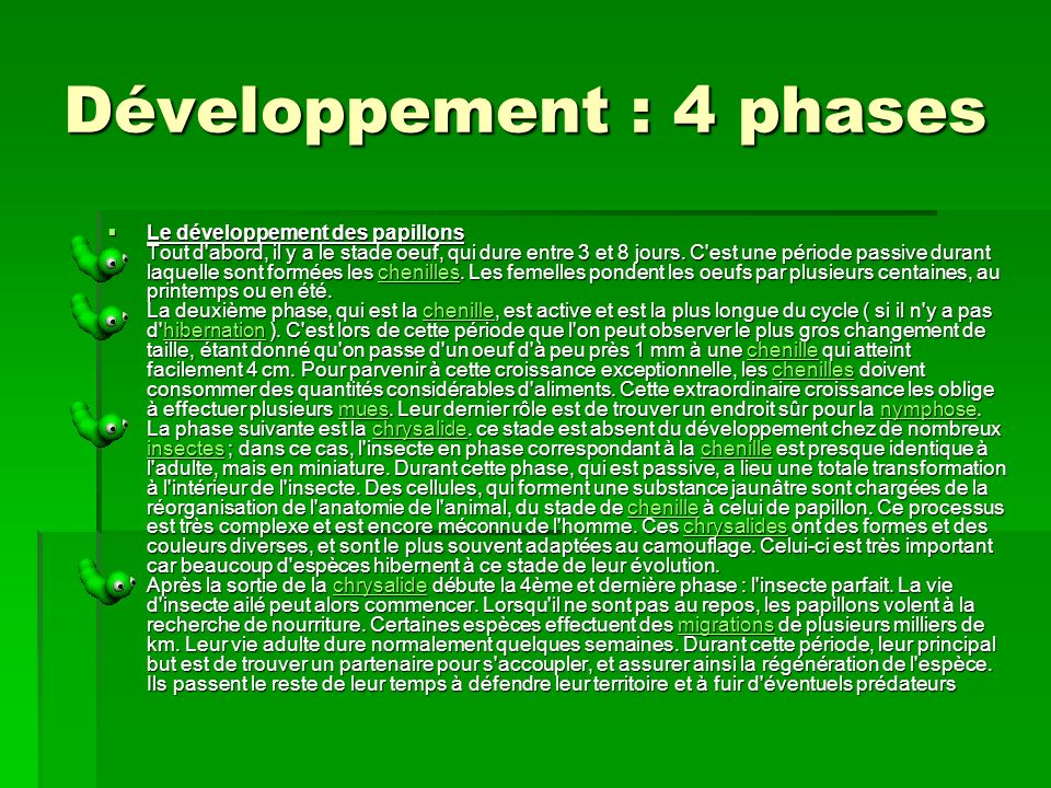 Développement : 4 phases