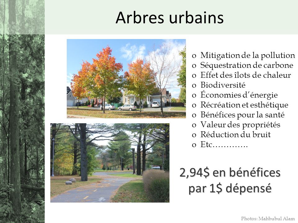 Les bénéfices des arbres urbains Arbres+urbains+2,94$+en+b%C3%A9n%C3%A9fices+par+1$+d%C3%A9pens%C3%A9