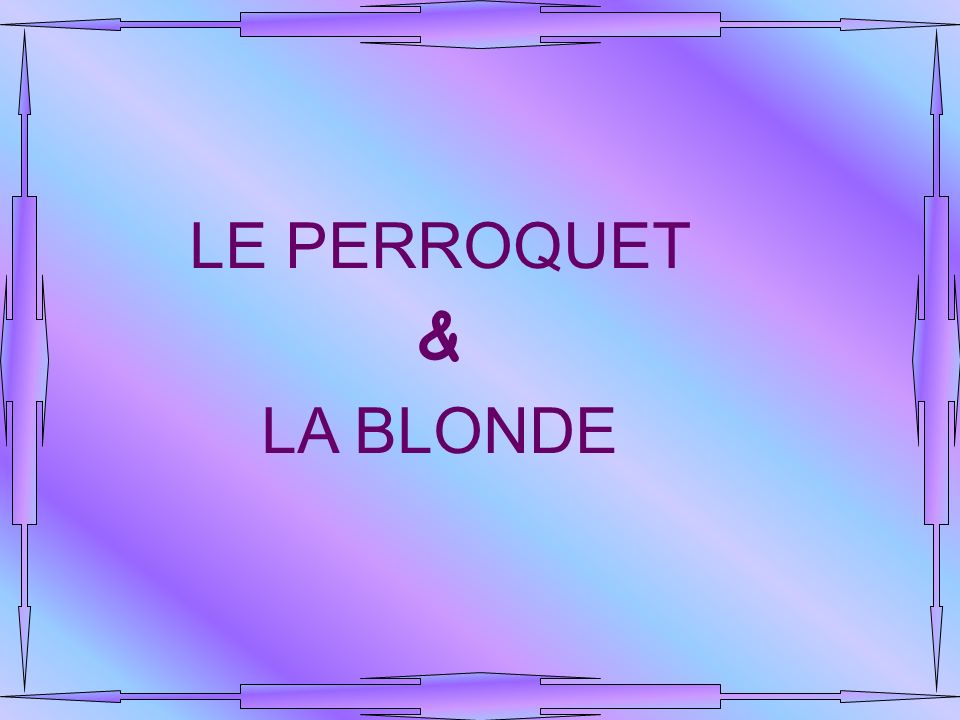 LE PERROQUET & LA BLONDE