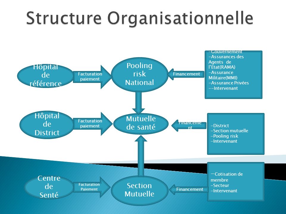 Structure Organisationnelle