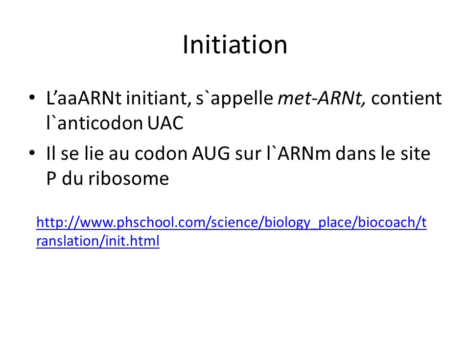 Initiation L’aaARNt initiant, s`appelle met-ARNt, contient l`anticodon UAC. Il se lie au codon AUG sur l`ARNm dans le site P du ribosome.