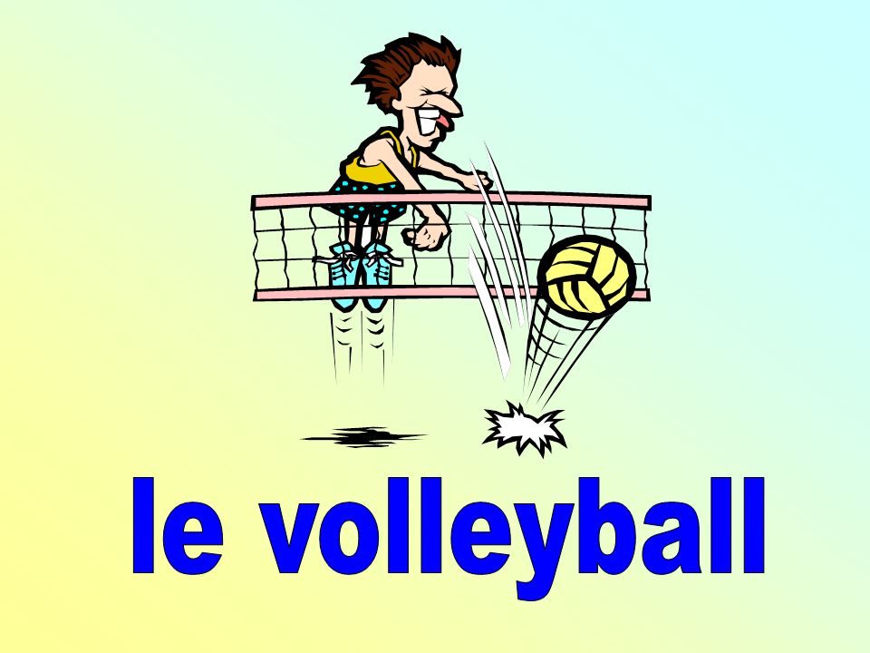 le volleyball