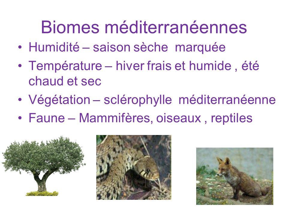Biomes méditerranéennes