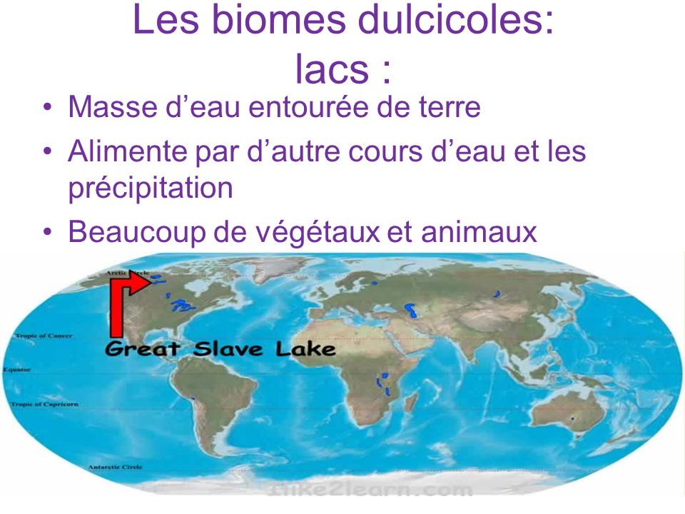 Les biomes dulcicoles: lacs :