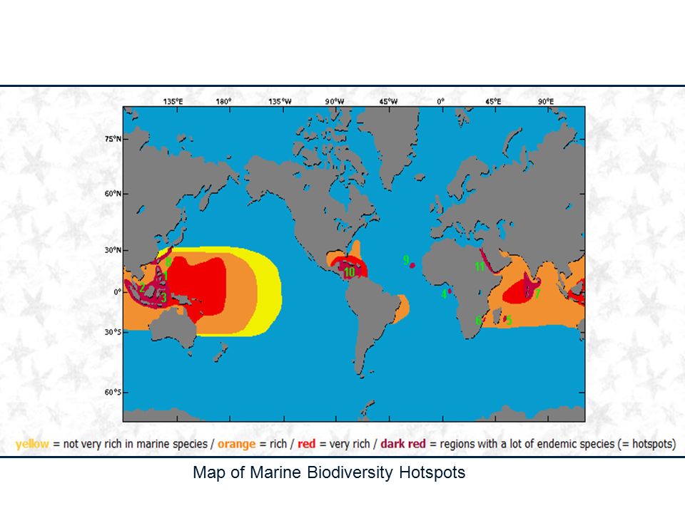 Map of Marine Biodiversity Hotspots
