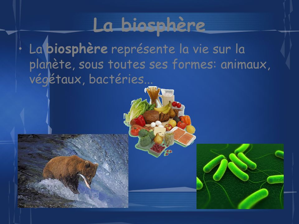 La biosphère La biosphère représente la vie sur la planète, sous toutes ses formes: animaux, végétaux, bactéries...