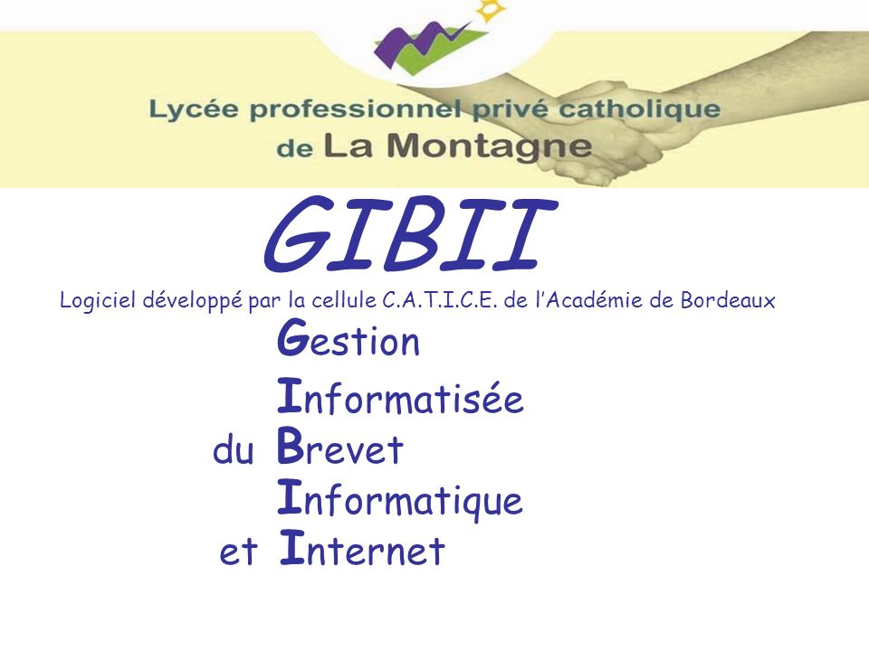 GIBII Gestion Informatisée Informatique du Brevet et Internet