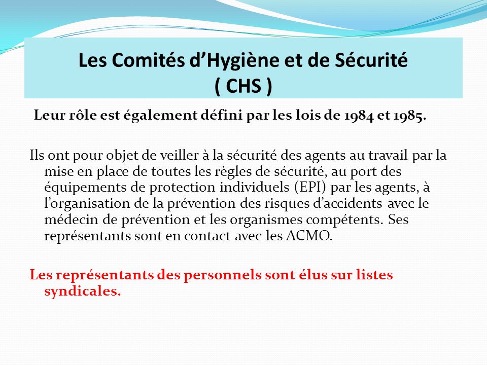 Les Comités d’Hygiène et de Sécurité ( CHS )