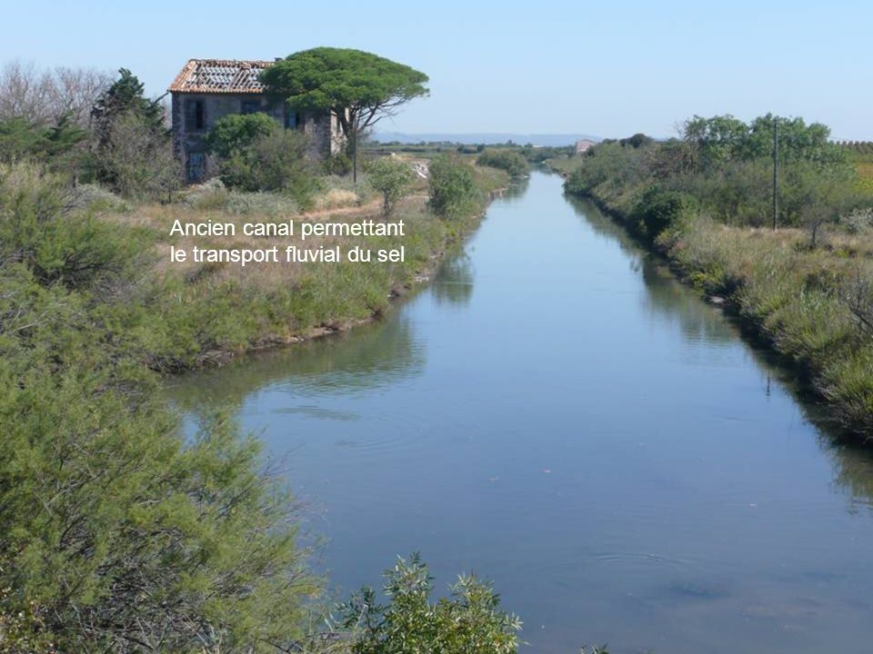 Ancien canal permettant le transport fluvial du sel