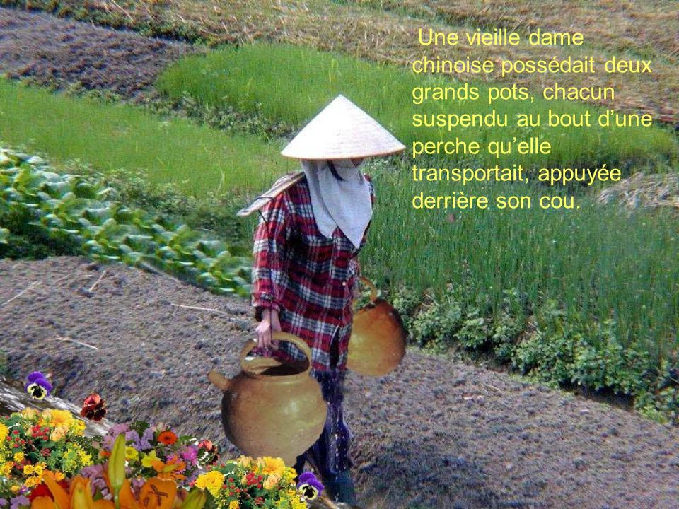 Une vieille dame chinoise possédait deux grands pots, chacun suspendu au bout d’une perche qu’elle transportait, appuyée derrière son cou.