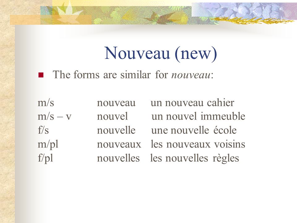 Nouveau (new) The forms are similar for nouveau: