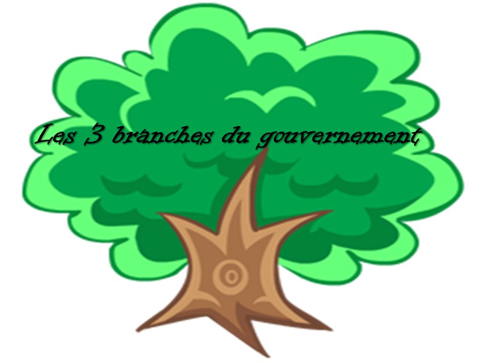 Les 3 branches du gouvernement