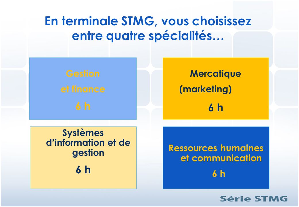 En terminale STMG, vous choisissez entre quatre spécialités…