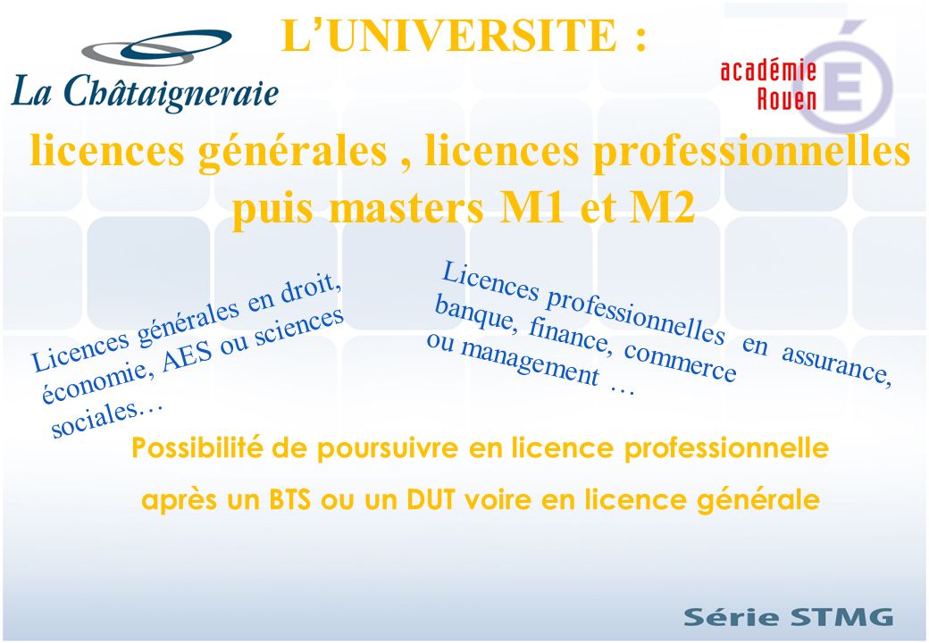 licences générales , licences professionnelles puis masters M1 et M2