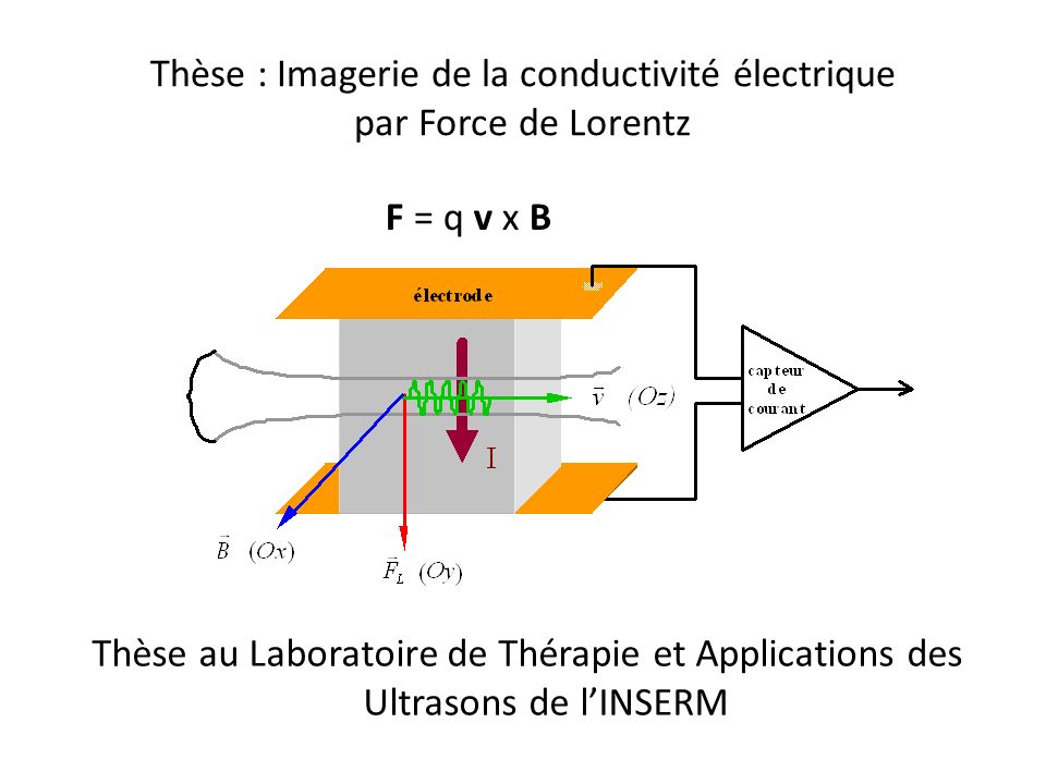 Thèse : Imagerie de la conductivité électrique par Force de Lorentz